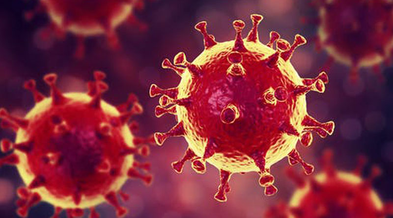 Coronavirus