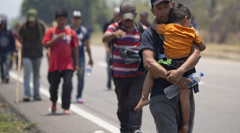 migrantes