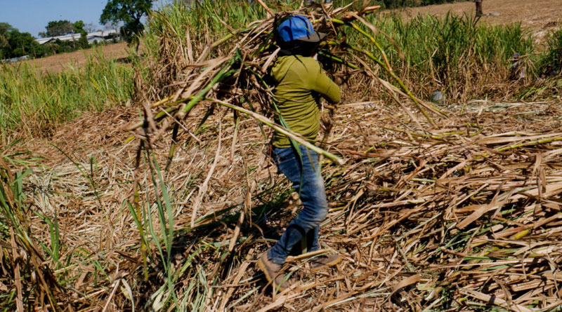 Vamos avanzando, retrocediendo o estamos estancados en la materia político-laboral