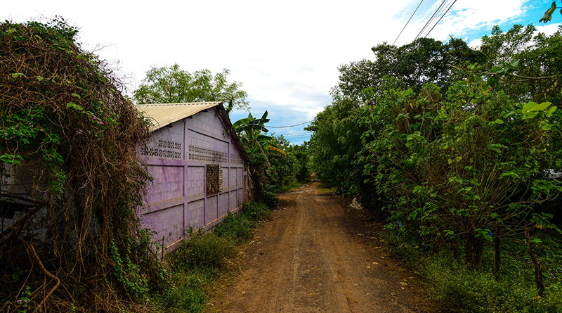 Tierra, techo y trabajo