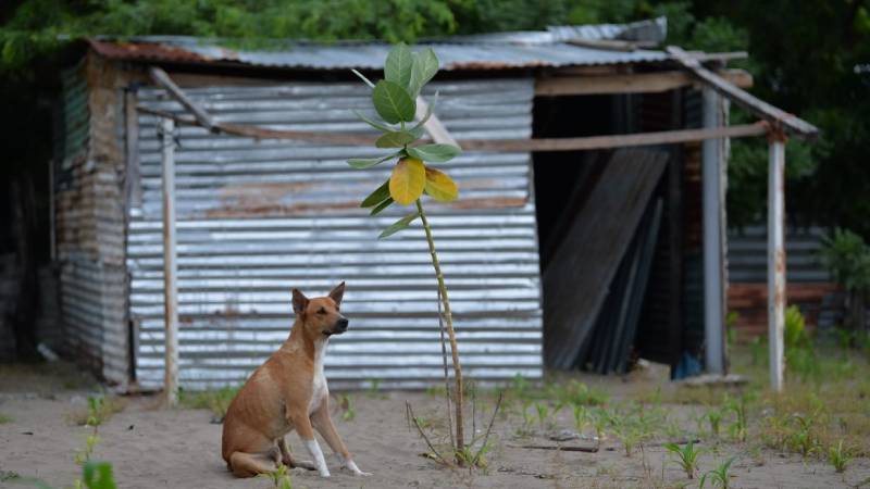Sin techo, sin futuro: LA CRISIS DE LA VIVIENDA EN EL SALVADOR.