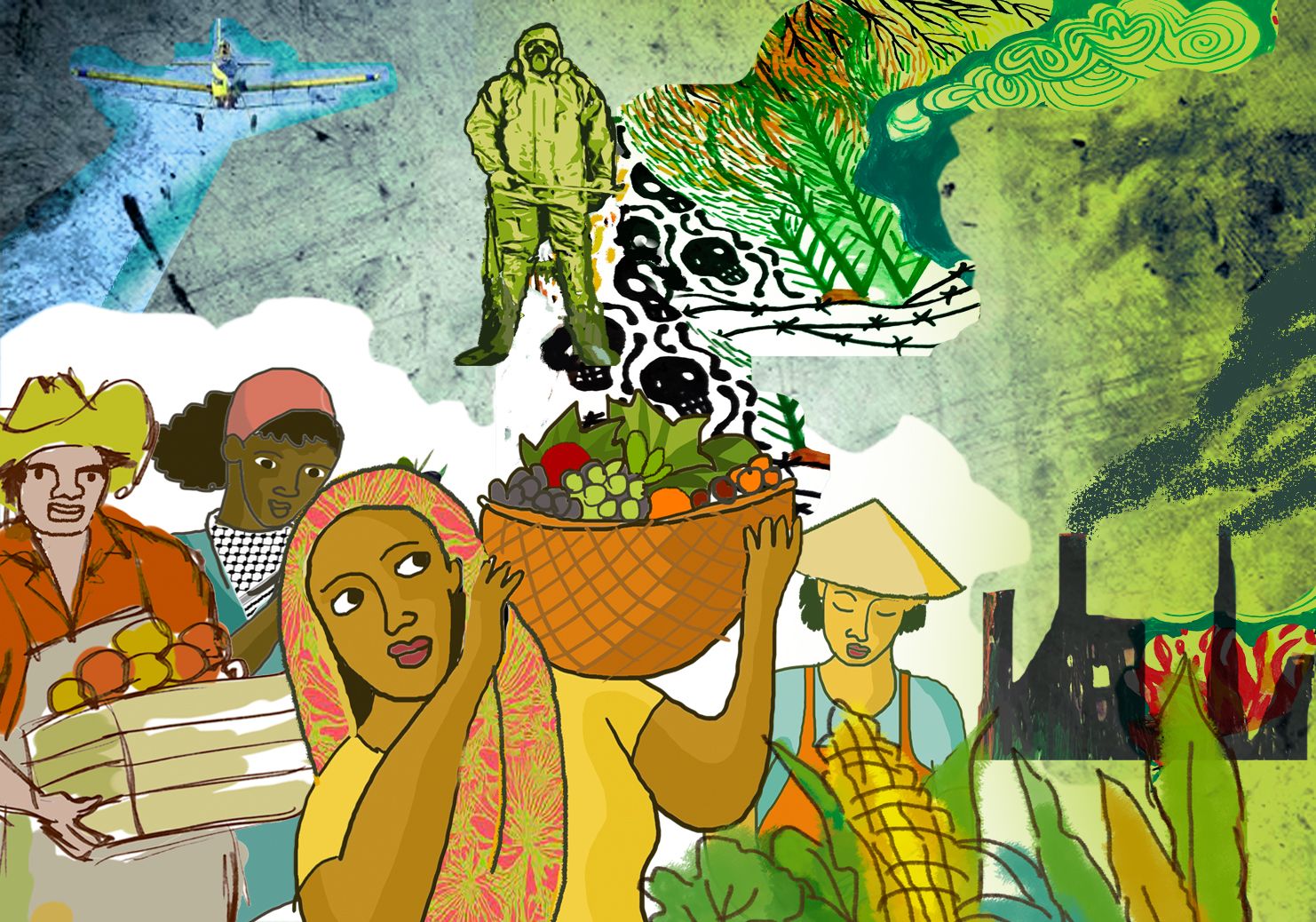 Cae el mito de la baja productividad “bio”. La agroecología rentable