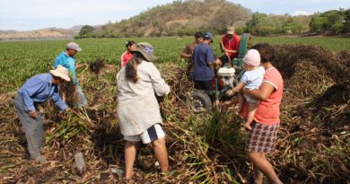 Empoderar para gobernar.