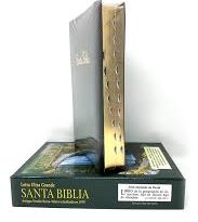 La ultra religiosa. Fundamentalistas, integristas y la “sana doctrina”.