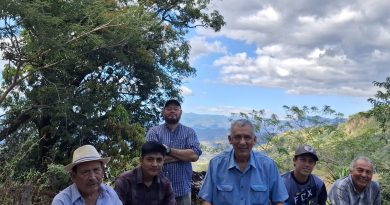 DEL CAMPO SOY Y AL CAMPO VUELVO. Mi último viaje a Providencia, San Marcos y Paratao.