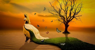 Que su año nuevo sea feliz.