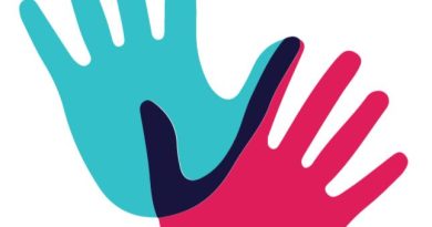 Buen gobierno no es únicamente seguridad: la falacia de lo nacional y lo humano.