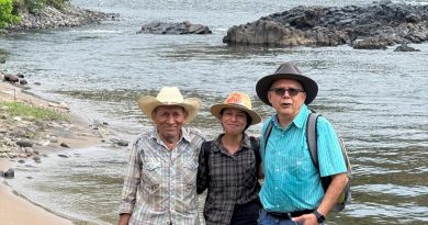 GUANACOS HIJOS DE LEMPA.