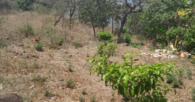Árbol Memorial Rutilio Grande, a casi 50 años de su martirio.