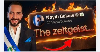 El Zeitgeist de Bukele: ¿“Transformación real o autoritarismo exportable de laboratorio?”