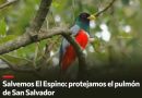 «Salvemos El Espino: La última línea de defensa del Gran San Salvador».