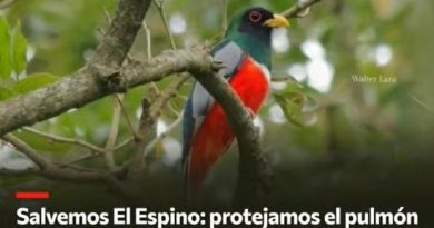 «Salvemos El Espino: La última línea de defensa del Gran San Salvador».