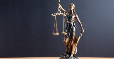 Legislar en el régimen de excepción.