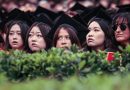 Los graduados universitarios están rechazando la IA en masa.