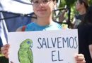 En El Salvador Ni desarrollo, ni medioambiente