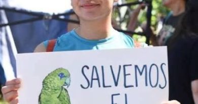En El Salvador Ni desarrollo, ni medioambiente