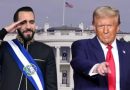 El amigo americano.