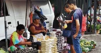 DEBILIDADES Y ESCASO PROCESO DE FORTALECIMIENTO SINDICAL, EN MUCHO DEBIDO A LAS ECONOMÍAS EMPOBRECIDAS.