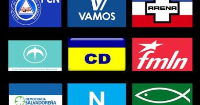 Partidos Políticos ¿Instituciones o simples vehículos?