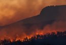 Europa casi infernal. Los que niegan lo innegable.