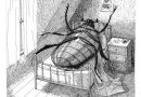 “LA METAMORFOSIS SALVADOREÑA”, RECORDANDO A FRANZ KAFKA.