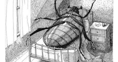 “LA METAMORFOSIS SALVADOREÑA”, RECORDANDO A FRANZ KAFKA.