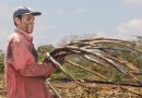 CLASE TRABAJADORA ¿DÓNDE ESTAMOS ANTE UN DIFERENTE ESCENARIO CAPITALISTA?