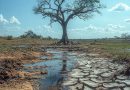 Alerta global: Las poblaciones de vertebrados del planeta caen un 73%, con un devastador impacto del 95% en América Latina.