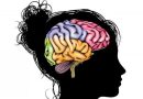 El cerebro en la depresión: Afectaciones, neuro plasticidad y recuperación.